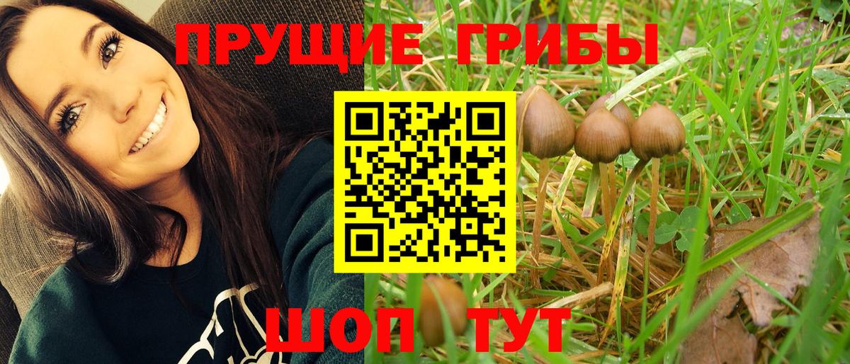 Оренбург  Галлюциногенные грибы мухоморы  Псилоцибиновые грибы Psilocybe  Вход с VPN 